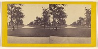 A Visit to the "Central Park" in the Summer of 1863. The Mall, Looking North. by Thomas C Roche