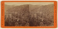 The Glens of the Catskills. View from the top of Kauterskill Fall, looking down the Glen. by Edward and Henry T Anthony and Co