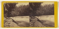 Trenton Falls, New York. View of the Rapids, between the Lower and High Fall. by Edward and Henry T Anthony and Co