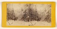 Winter in the Catskills. [Ice and Snow] by Edward and Henry T Anthony and Co