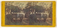 View of John C. Calhoun's Tomb, Charleston, S.C. by Edward and Henry T Anthony and Co