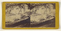 Scenery at Little Falls, on the Mohawk, New York. - View at 2d Mill Dam Falls. by Edward and Henry T Anthony and Co