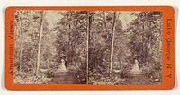 Unidentified couple walking down a path in the woods, woman holding a parasol, at Lake George, New York by Edward and Henry T Anthony and Co