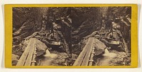 General View of the Flume, Lincoln, New Hampshire. [White Mountain - Franconia Range.] by Edward and Henry T Anthony and Co