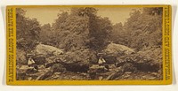 Dumpling Rock. [Wissahickon Creek, near Philadelphia, Pa.] by Edward and Henry T Anthony and Co
