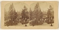 View at Greenwood Cemetery by Deloss Barnum