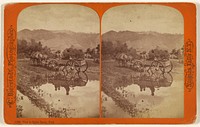 View in Ogden Canon, Utah. by Charles Bierstadt