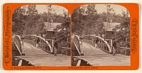 Bridge across Watkins Glen, N.Y. On the Line of the Erie Railway. by Charles Bierstadt