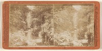Frith (?) Glen by The British Stereoscopic Supply Union