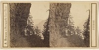 Canton des Grisons. Vallee de l'Albula. Chemin taille dans le roc au defile de Schyn. by Adolphe Braun