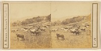 Pastoral scene with cattle by Adolphe Braun