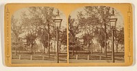 Main Street, looking South. [Keene, New Hampshire] by Jotham A French