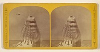 Woman with waist-length hair looking away from the camera by Jotham A French
