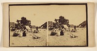 Men at campsite. palm trees in background, camels around tent by Francis Frith
