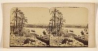 View on the Nile from Philse by Francis Frith
