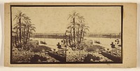 View on the Nile from Philae by Francis Frith