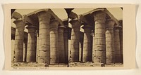 The Memnonium - Thebes. Near View of the Columns. by Francis Frith