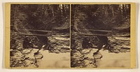 Glen Scenery, Views in Freer's Glen at Watkins, Schuyler Co., N.Y. Rustic Bridge, looking down, - 2nd Glen. by Gates Brothers George F and C A Gates
