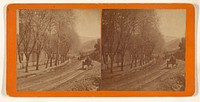 Small town tree-lined road, probably Santa Clara, California, with people walking and one man riding horse-drawn wagon by A L Hawes