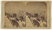 Snow gang at work. [Southern Minnesota Div., C.M. & St. P. R'y.] by Henry C Heath
