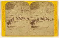 Game of Wolf and Deer. Kai-Vav-Its. A tribe of the Pai Utes, living on the Kai-bab Plateau, near the Grand Canon of the Colorado, in Northern Arizona. by John K Hillers