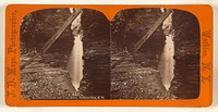 Cavern Cascade and Long Stairs, Watkins Glen, N.Y. by James Douglas Hope