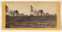 Street and Negro Quarters, Perry Clear Point, Port Royal Island, S.C. by Hubbard and Mix