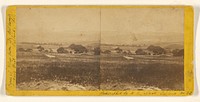 General View from Dr. Baldwin's Looking East. Oakland, Cal. by William Booker Ingersoll