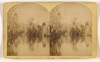 Ocklawaha River, Florida. by Benjamin West Kilburn
