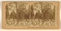 Cemetery, Soldiers Home, Washington, D.C. U.S.A. by Benjamin West Kilburn