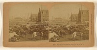 The Great Stock Yard, Chicago, Ill., U.S.A. by Benjamin West Kilburn