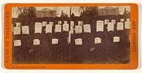 Cemetery, Tarrytown, New York by Samuel Rogers