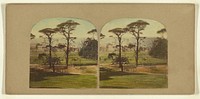 Greenwich Hospital. by London Stereoscopic and Photographic Company