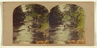 View in the Dargle, county Wicklow, Ireland. by London Stereoscopic and Photographic Company