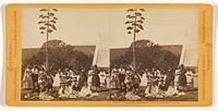 Mills' Seminary, Seminary Park, Alameda Co., Cal. by Eadweard J Muybridge