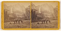 Yosemite Fall, Height 2634 feet by Irish and Company