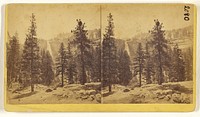 The Nevada Falls, 700 feet high, Yosemite Valley, Cal. by Thomas C Roche