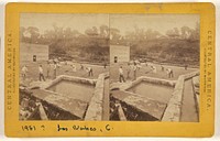 Cultivation of Coffee. Drying the berries on the Patio at Las Nubes. by Eadweard J Muybridge