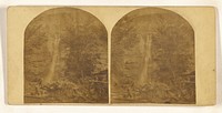 Genesee Falls, Portage, N.Y. View across the Gorge, showing the Cascade. The bank is 400 feet high. by New York Stereoscopic Company