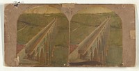 High Bridge, New York. - No. 1. Showing the Top and Full Length. by New York Stereoscopic Company