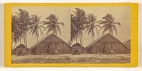 Indian House, one of the San Blas Coral Islands. Isthmus of Darien, Darien Expedition by Timothy H O Sullivan