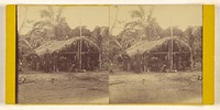 Telegraph office of Darien Expedition at San Blas Bay. by Timothy H O Sullivan