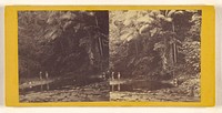 View on the Sucubti River. Showing the Palms. U.S. Darien Expedition. by Timothy H O Sullivan