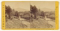 Mt. Kiarsarge [sic], North Conway, N.H. by Nathan W Pease