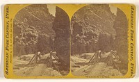 View in the lower end of the Canyon. [American Fork Canyon, Utah.] by C R Savage