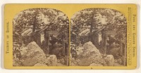 Upper rustic arbor, H. H. Hunnewell Estate by Charles Seaver Jr and Charles Pollock
