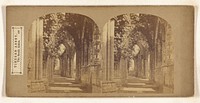 Tintern Abbey, The South Aisles. by W R Sedgfield