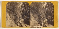Beauties of Seneca Lake, Freer's Glen, Watkins. Section 3 - Glen Cathedral, Mammoth Gorge, back view, Grand Staircase. by John Towler M D