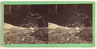 Brink of Lower Falls on Saturly Brook. Moravia, N.Y. by T T Tuthill