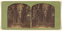Forest scene: one man in top hat to right, another man on ground at left